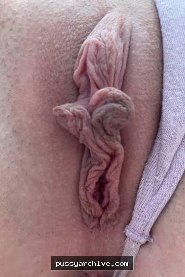 Pussy - pussy, close up, close-up, labia, clit, vagina, vulva, amateur
