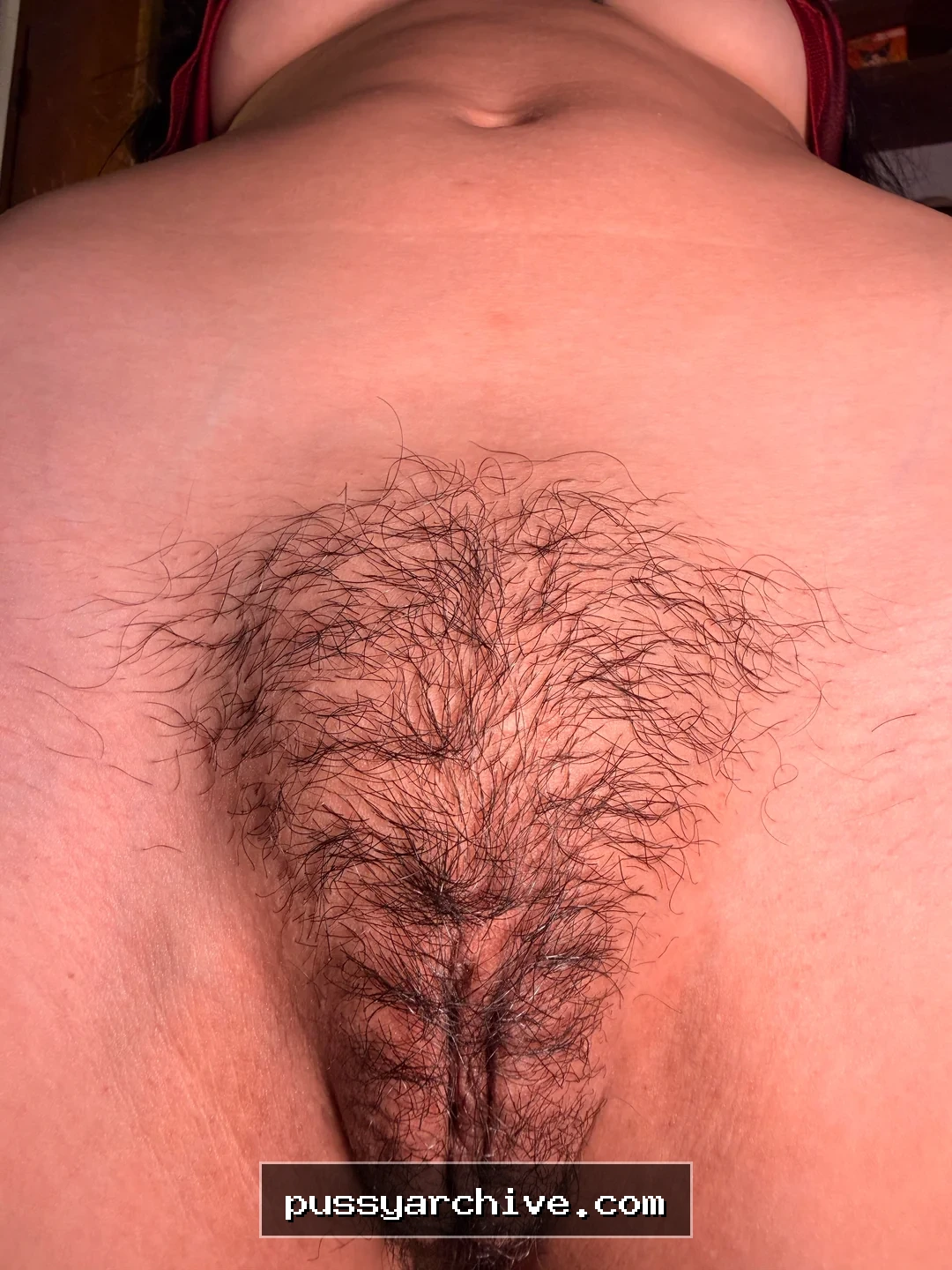 Pussy - pussy, close up, close-up, labia, clit, vagina, vulva, amateur
