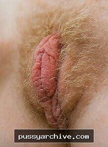 Pussy - pussy, close up, close-up, labia, clit, vagina, vulva, amateur