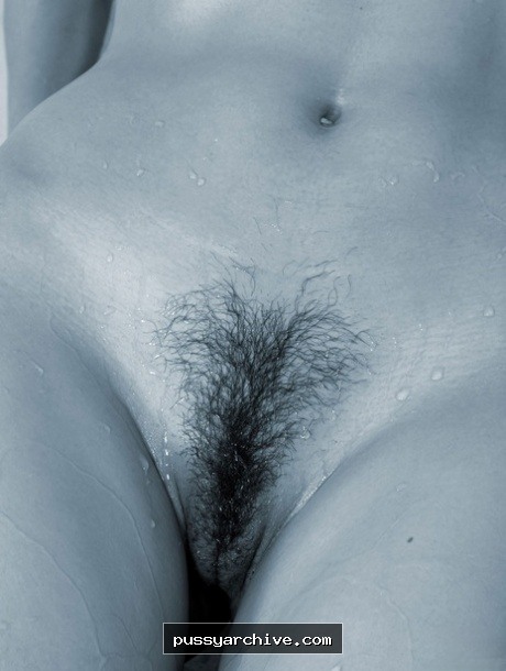 Pussy - pussy, close up, close-up, labia, clit, vagina, vulva, amateur