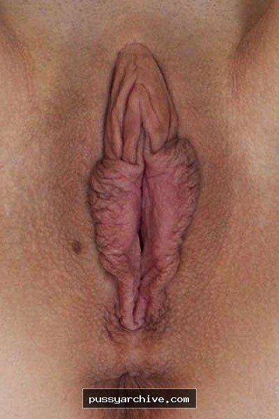 Pussy - pussy, close up, close-up, labia, clit, vagina, vulva, amateur