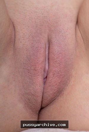 Pussy - pussy, close up, close-up, labia, clit, vagina, vulva, amateur