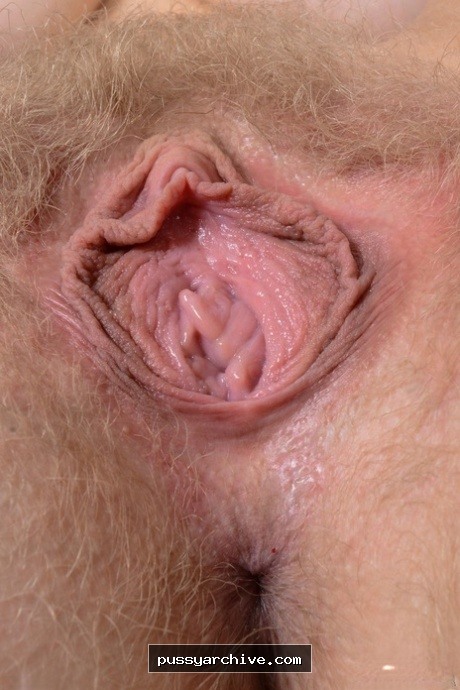 Pussy - pussy, close up, close-up, labia, clit, vagina, vulva, amateur
