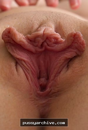 Pussy - pussy, close up, close-up, labia, clit, vagina, vulva, amateur