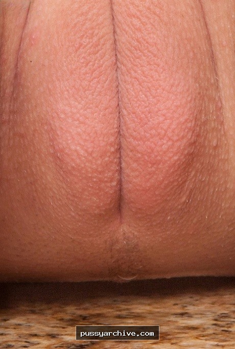 Pussy - pussy, close up, close-up, labia, clit, vagina, vulva, amateur